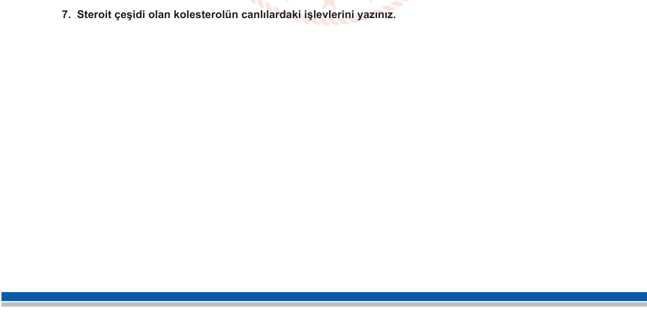 Biyoloji sorusu 7 — Lipitler — steroit ve kolesterol işlevleri