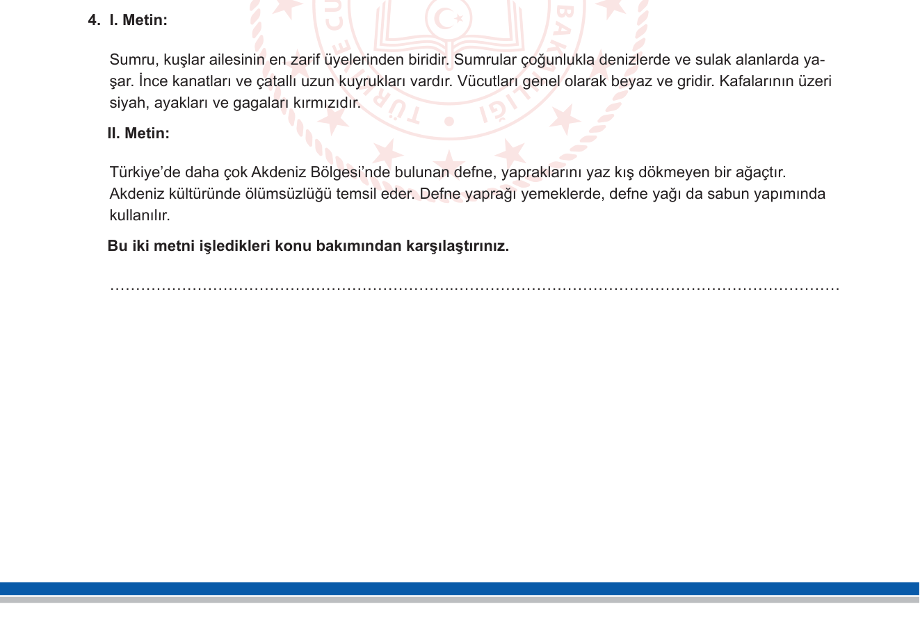 Türkçe sorusu 9 — 