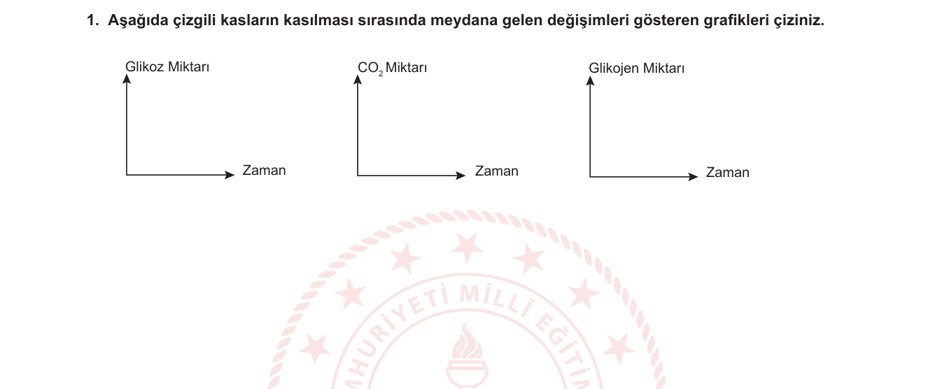 Biyoloji sorusu 19 — Hareket Sistemi — Kas Metabolizması ve Enerji