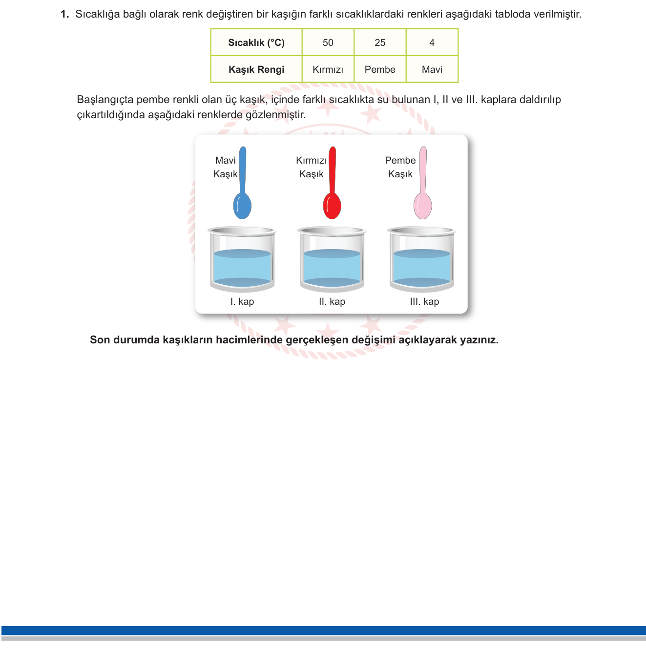 Fen Bilimleri sorusu 19 — 