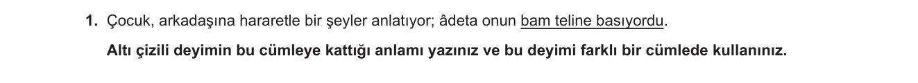 Türkçe sorusu 37 — 