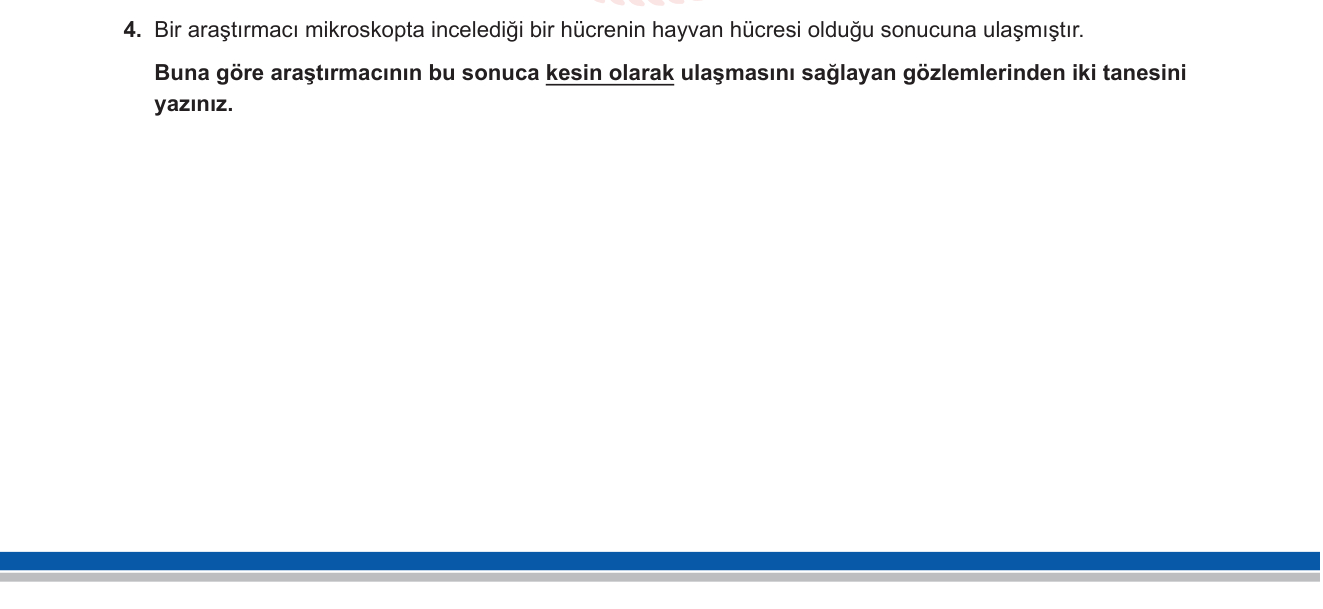 Fen Bilimleri sorusu 4 — Hücre / Bitki ve Hayvan Hücresi Karşılaştırması