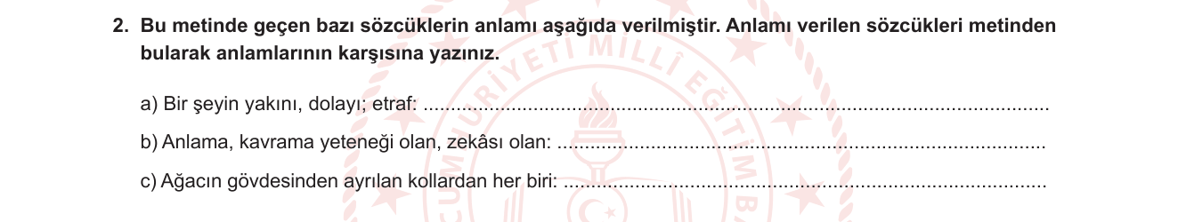 Türkçe sorusu 2 — Sözcükte anlam — eş anlam / sözlük anlamı