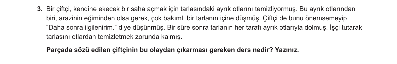 Türkçe sorusu 3 — 
