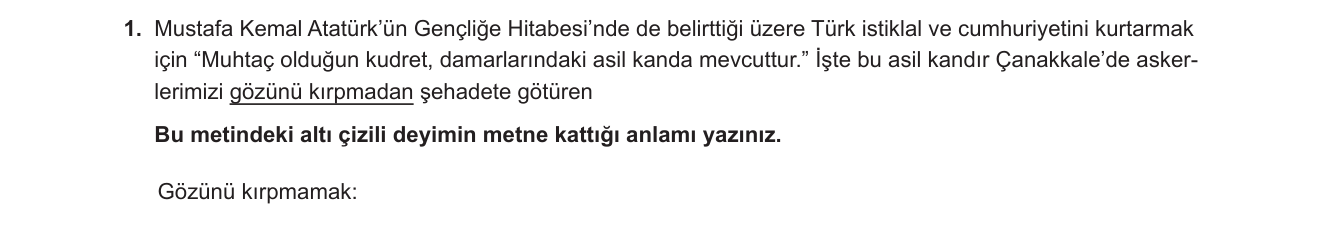 Türkçe sorusu 22 — 