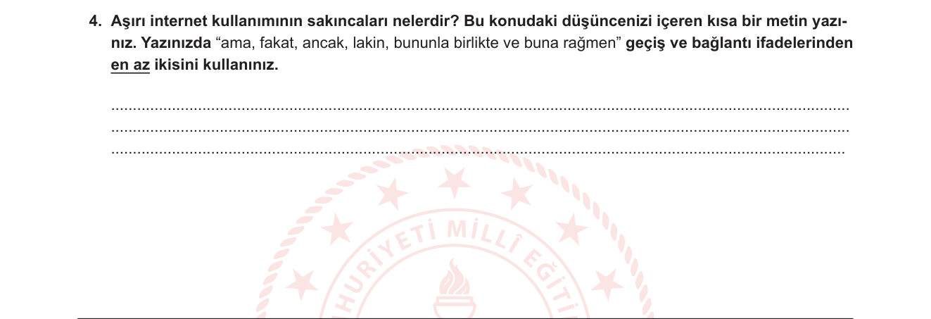 Türkçe sorusu 4 — 