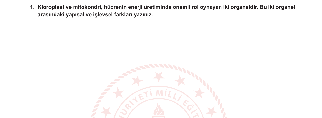 Biyoloji sorusu 34 — 