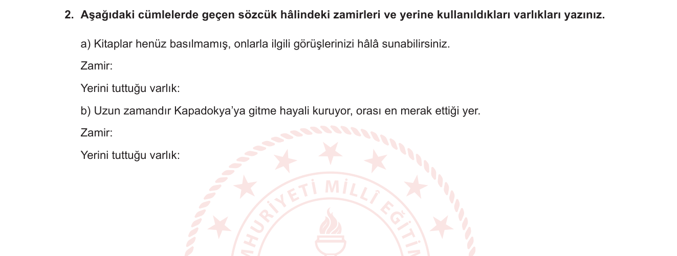 Türkçe sorusu 19 — 
