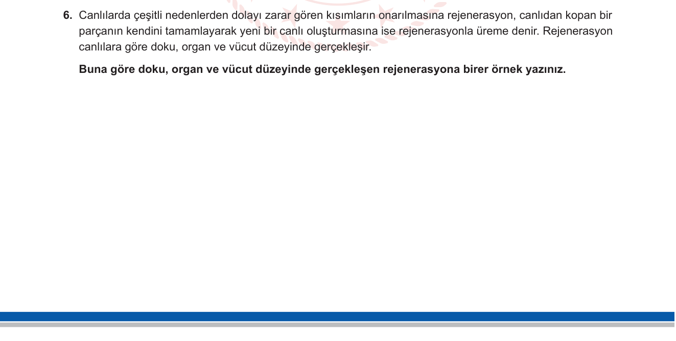 Biyoloji sorusu 5 — Üreme Çeşitleri — Rejenerasyon (Doku, Organ, Vücut Düzeyi)