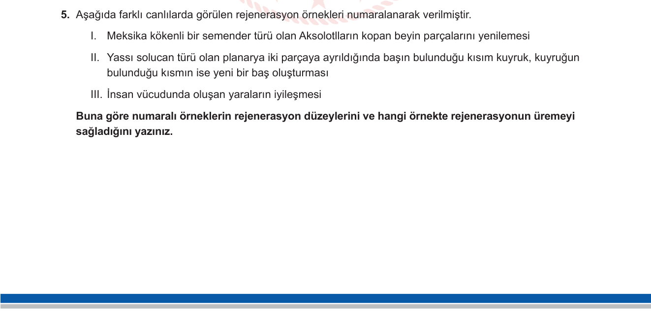 Biyoloji sorusu 5 — Rejenerasyon düzeyleri ve eşeysiz üreme