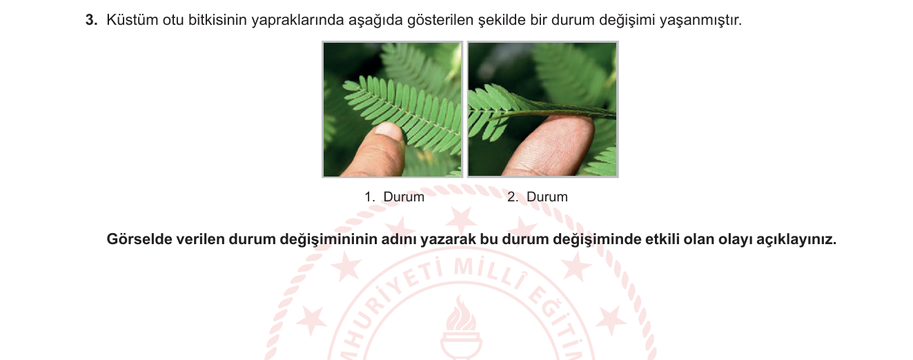 Biyoloji sorusu 39 — 