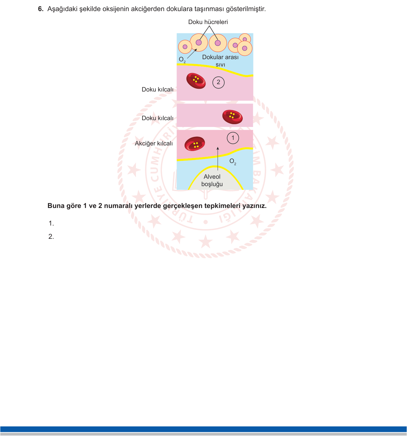 Biyoloji sorusu 51 — 