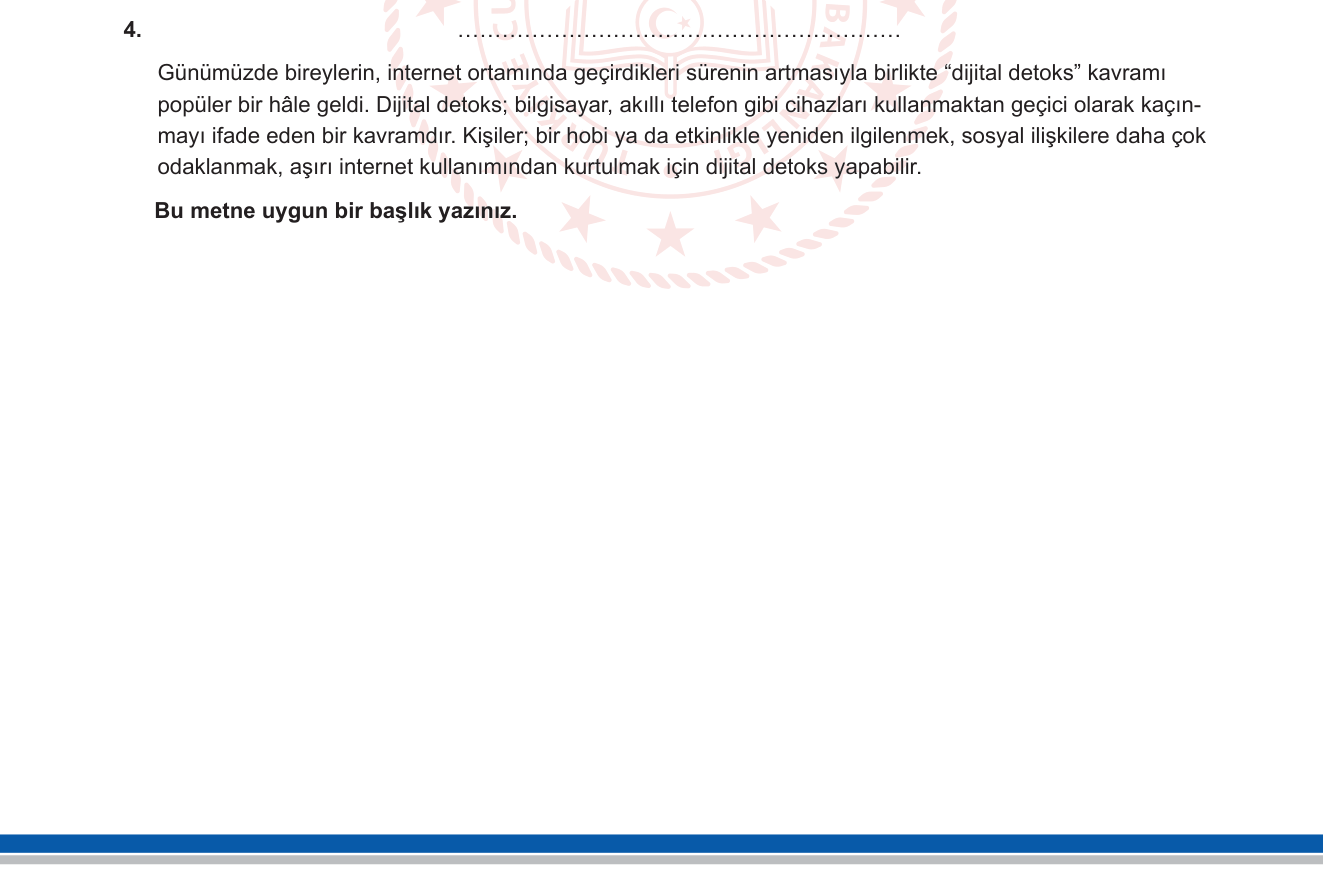 Türkçe sorusu 15 — Başlık oluşturma / Okuma anlama