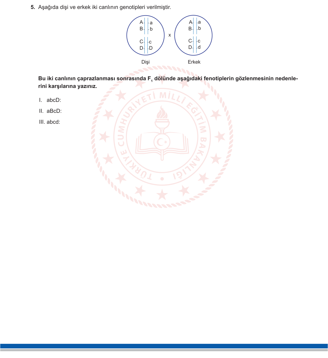 Biyoloji sorusu 46 — 