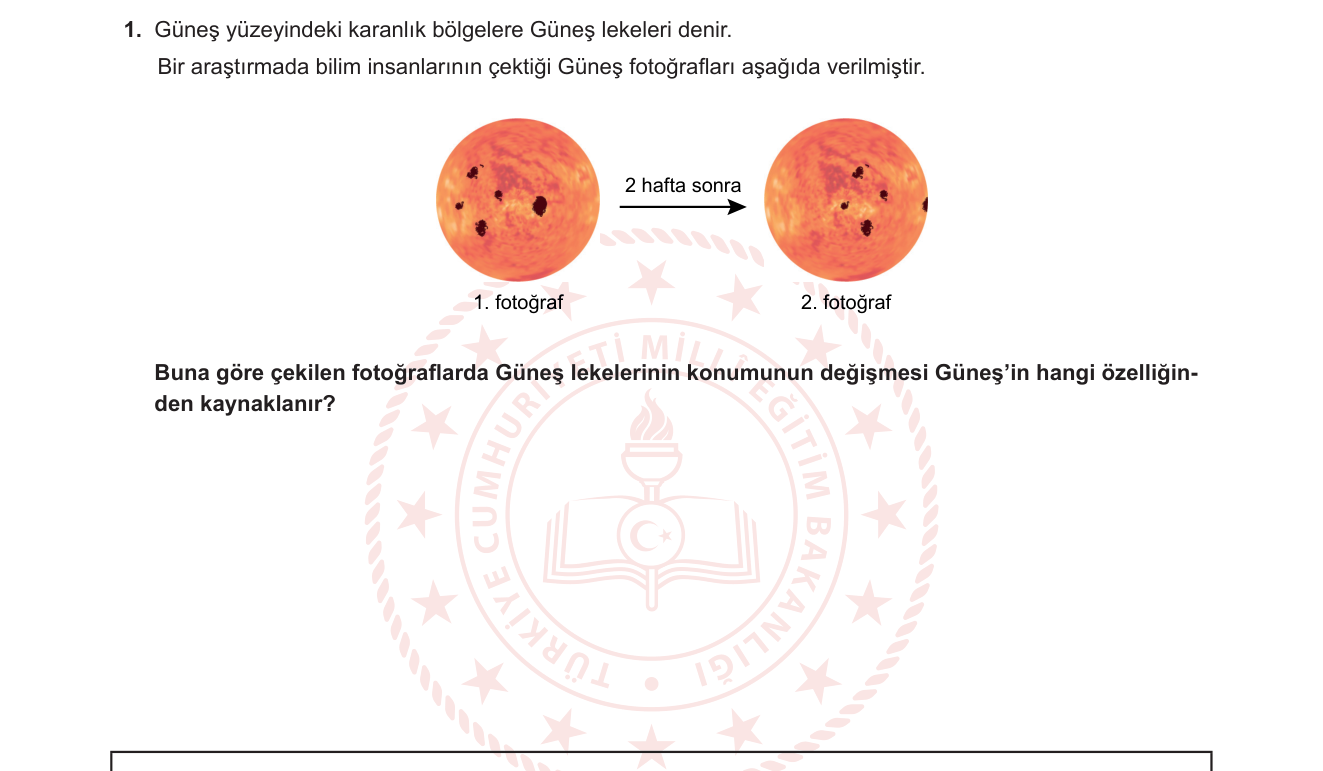 Fen Bilimleri sorusu 1 — Güneş'in Yapısı ve Özellikleri — Güneş'in kendi ekseni etrafında dönmesi