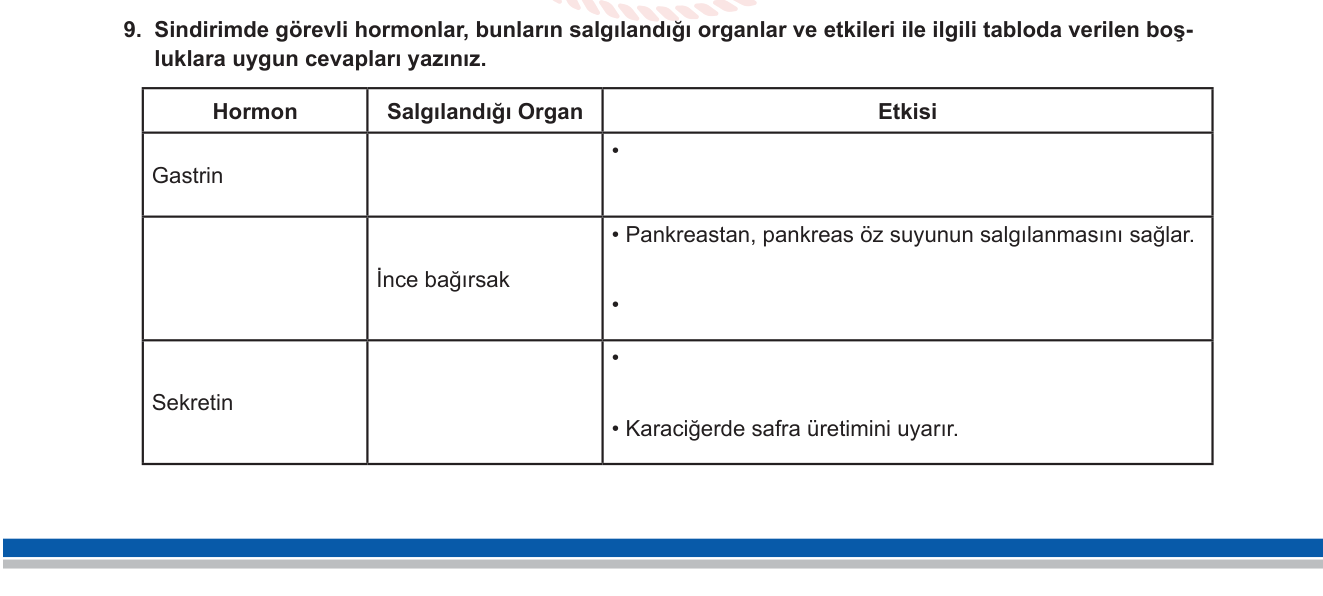 Biyoloji sorusu 27 — Sindirim Sistemi — Sindirim Hormonları (Gastrin, Sekretin, Kolesistokinin)