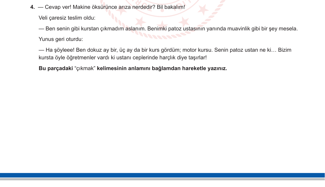 Türk Dili ve Edebiyatı sorusu 13 — 