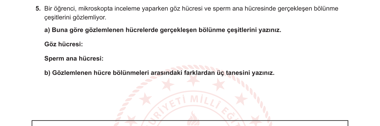 Fen Bilimleri sorusu 6 — Hücre Bölünmesi / Mitoz ve Mayoz