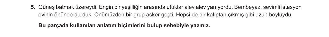 Türkçe sorusu 4 — 