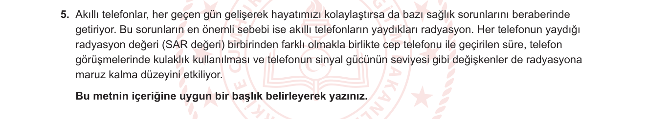 Türkçe sorusu 10 — 
