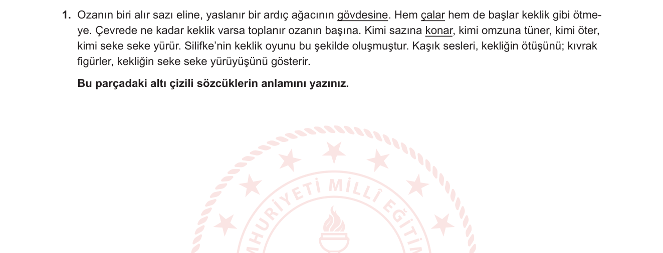 Türkçe sorusu 1 — 