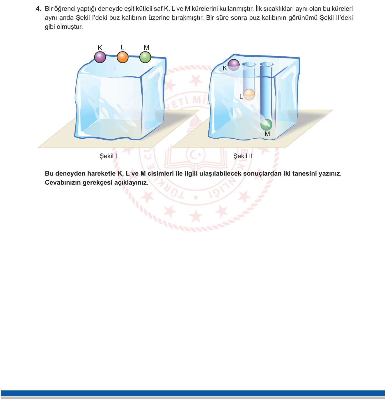 Fen Bilimleri sorusu 12 — 