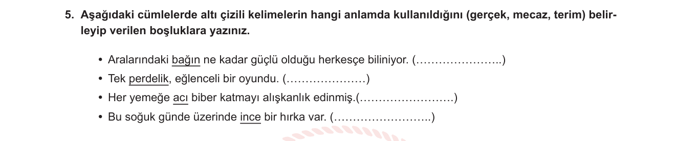 Türkçe sorusu 5 — 