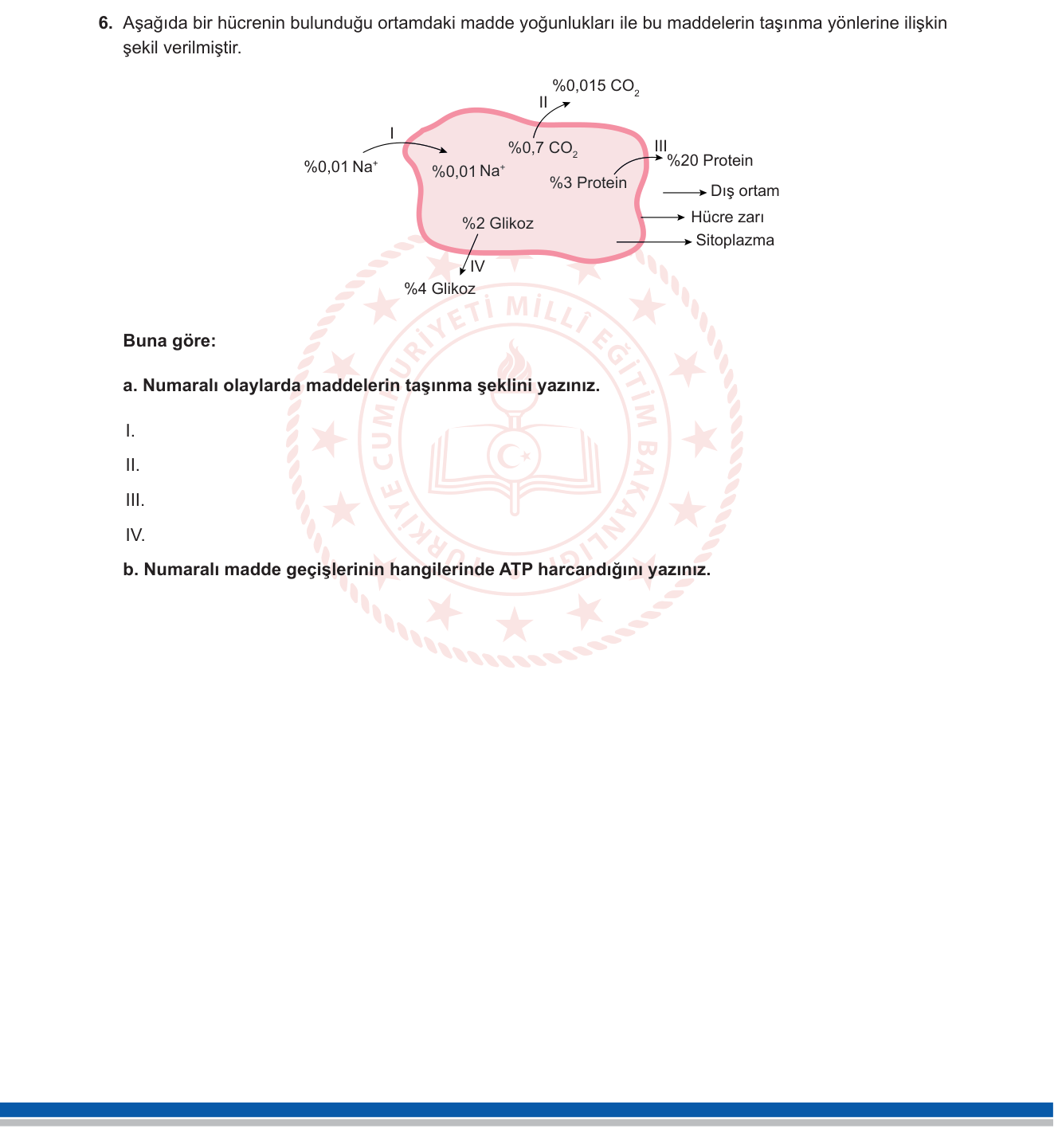 Biyoloji sorusu 22 — 