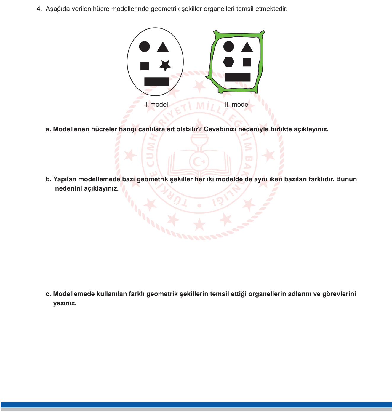 Fen Bilimleri sorusu 4 — Hücre — Hayvan ve Bitki Hücresi Karşılaştırması, Organeller (7. sınıf)
