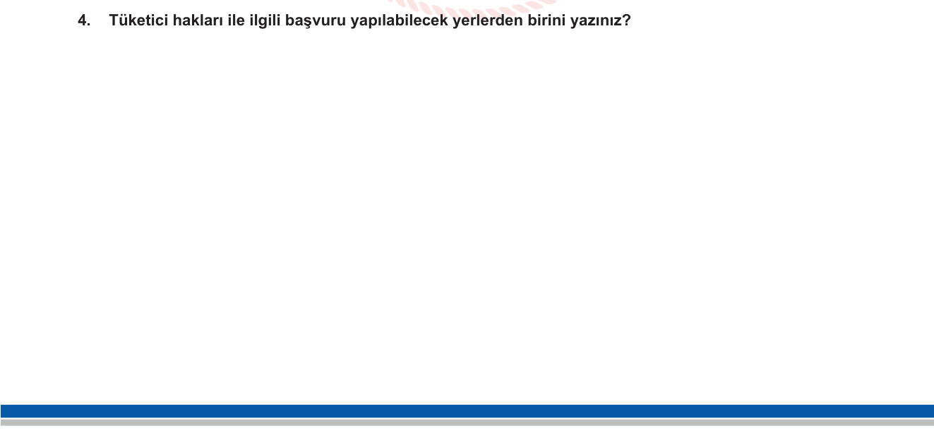 Sosyal Bilgiler sorusu 21 — 