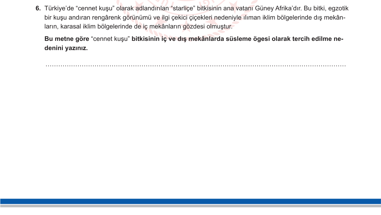 Türkçe sorusu 19 — Metinden bilgi çıkarma / Okuma anlama