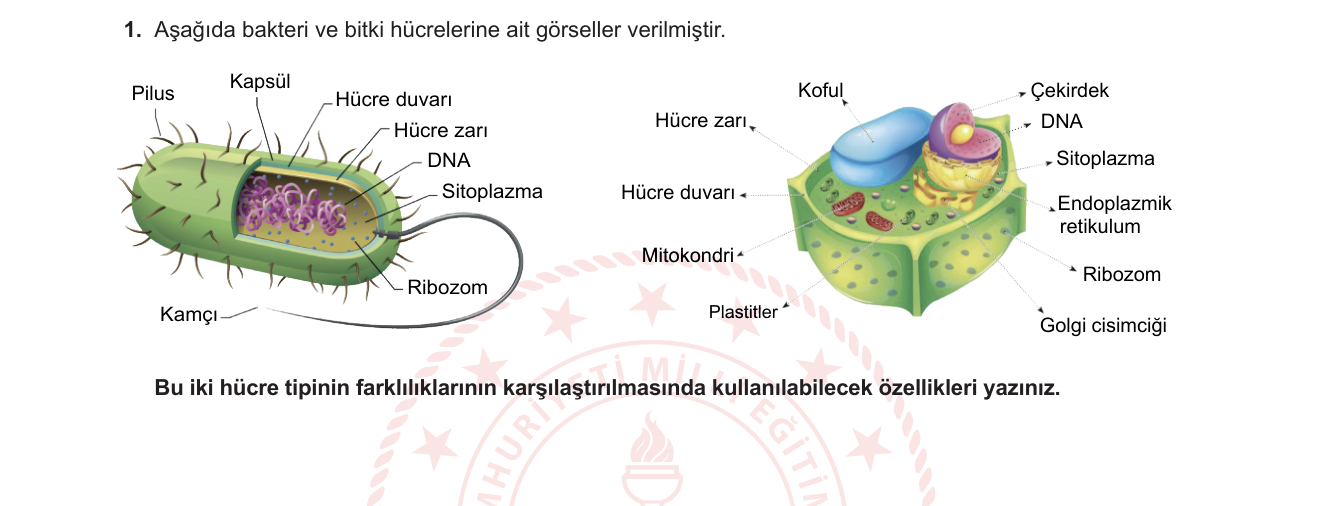 Biyoloji sorusu 23 — 