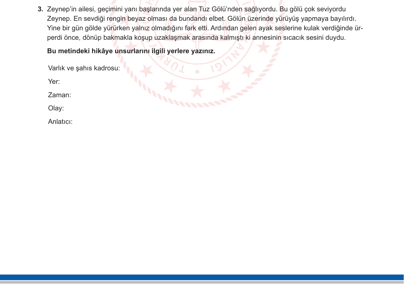 Türkçe sorusu 9 — 