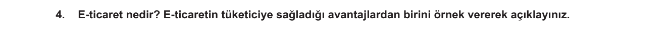 Sosyal Bilgiler sorusu 17 — 