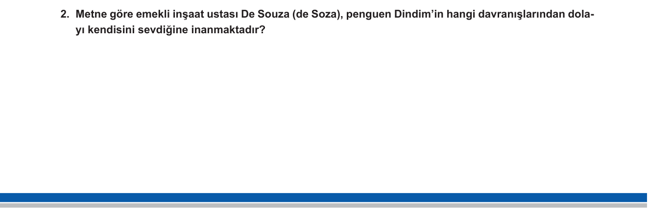 Türkçe sorusu 13 — 