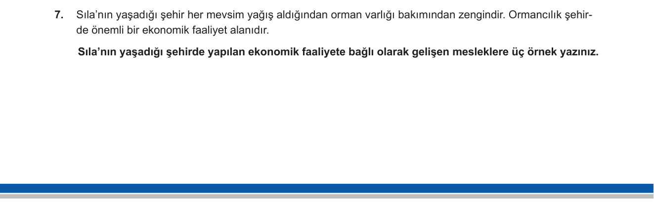 Sosyal Bilgiler sorusu 17 — 