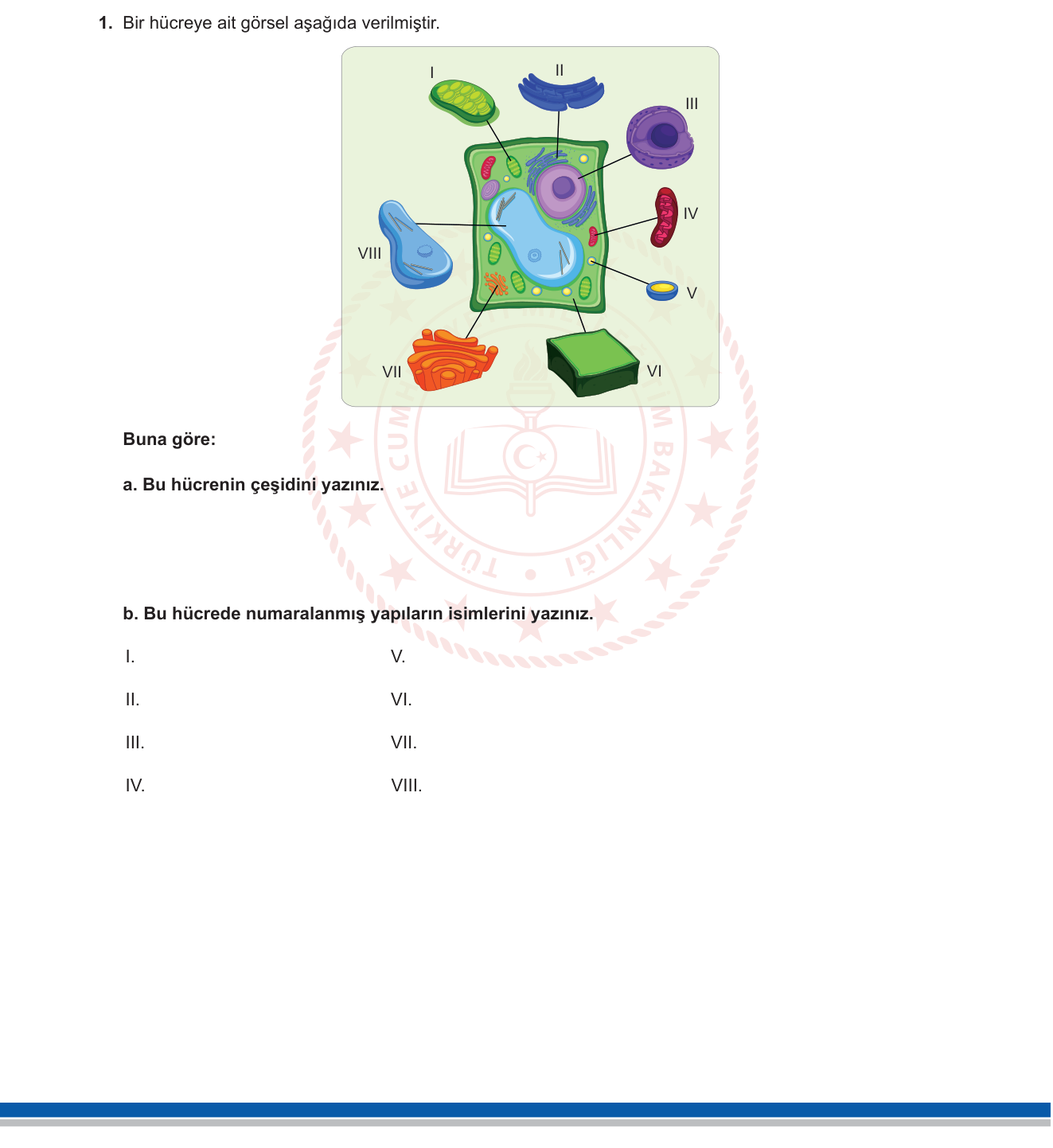 Biyoloji sorusu 30 — 