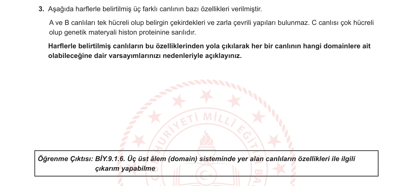 Biyoloji sorusu 3 — Üç domain sistemi (Bacteria, Archaea, Eukarya) ve prokaryot-ökaryot ayrımı