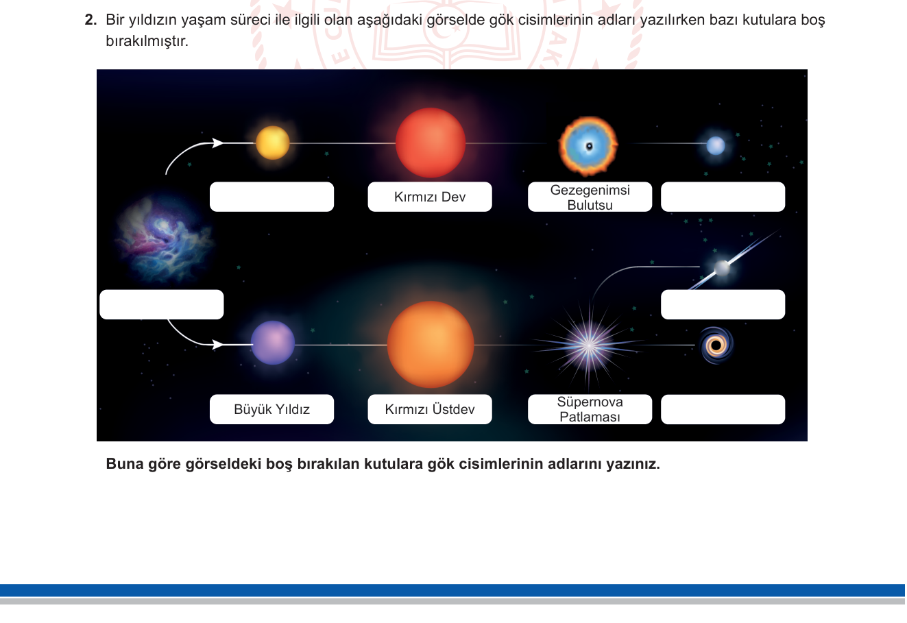 Fen Bilimleri sorusu 11 — Yıldızların Yaşam Döngüsü (7. Sınıf Fen Bilimleri — Güneş Sistemi ve Ötesi)