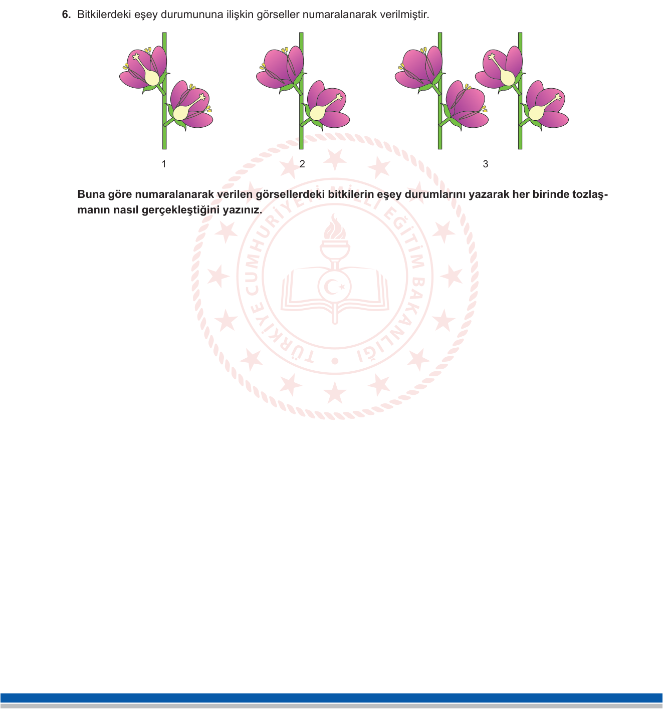 Biyoloji sorusu 55 — 