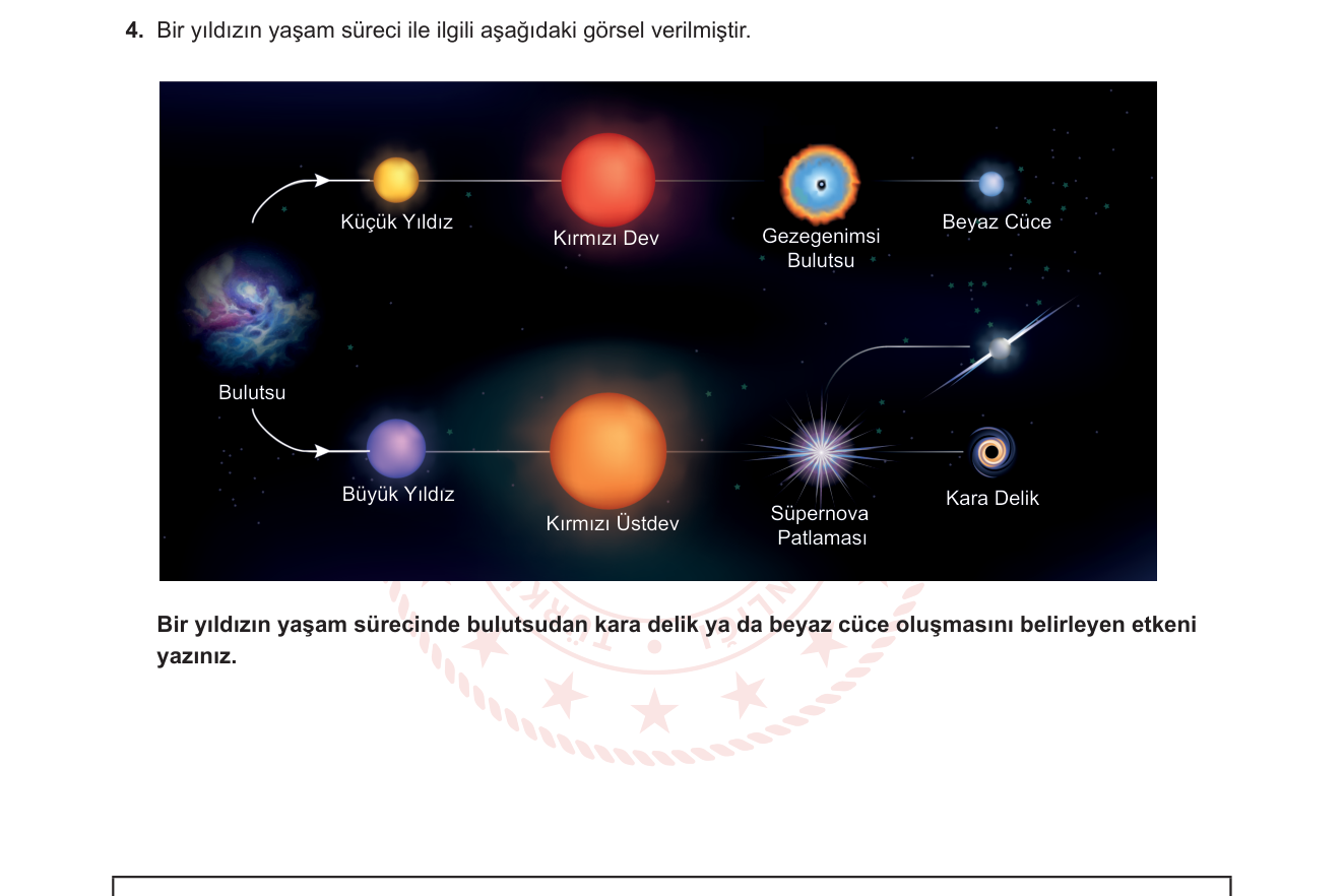 Fen Bilimleri sorusu 4 — Yıldızların Yaşam Döngüsü — Kütlenin Belirleyici Rolü (7. Sınıf Fen Bilimleri)
