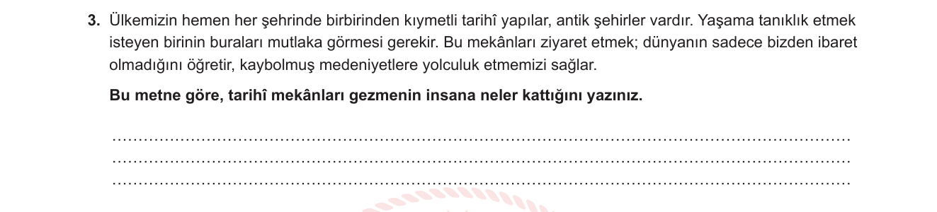 Türkçe sorusu 6 — Okuduğunu anlama / Metinden bilgi çıkarma