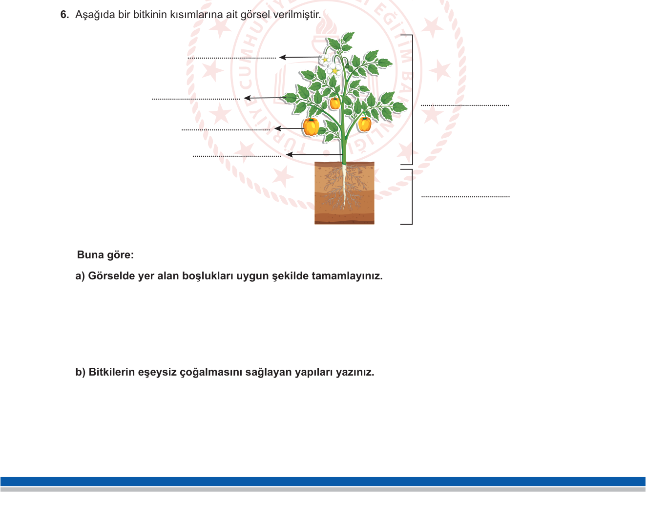 Biyoloji sorusu 28 — 
