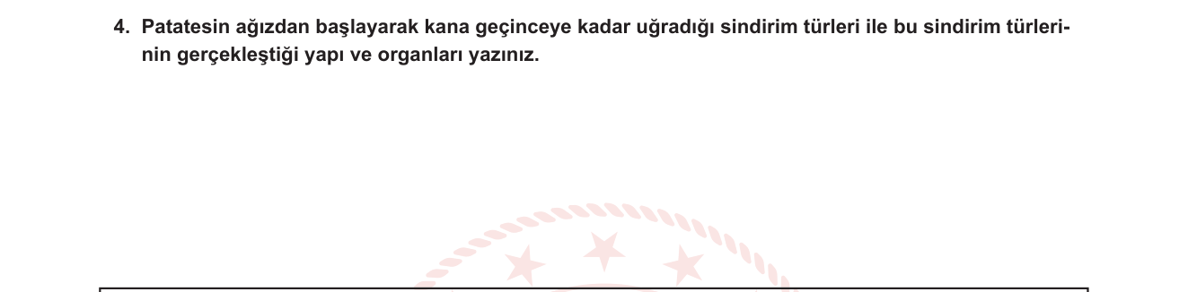 Fen Bilimleri sorusu 12 — Sindirim Sistemi — Mekanik ve Kimyasal Sindirim, Karbonhidrat Sindirimi (6. Sınıf)