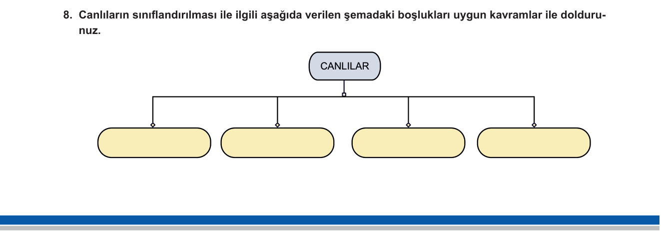 Fen Bilimleri sorusu 9 — Canlıları Tanıyalım — Canlıların Sınıflandırılması