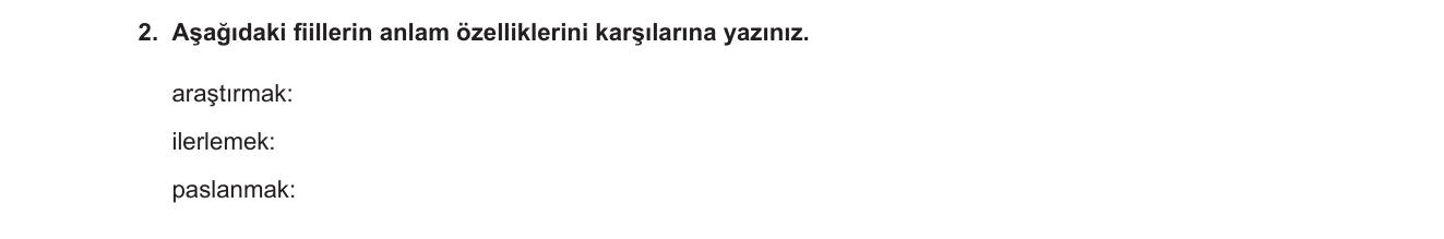Türkçe sorusu 8 — 