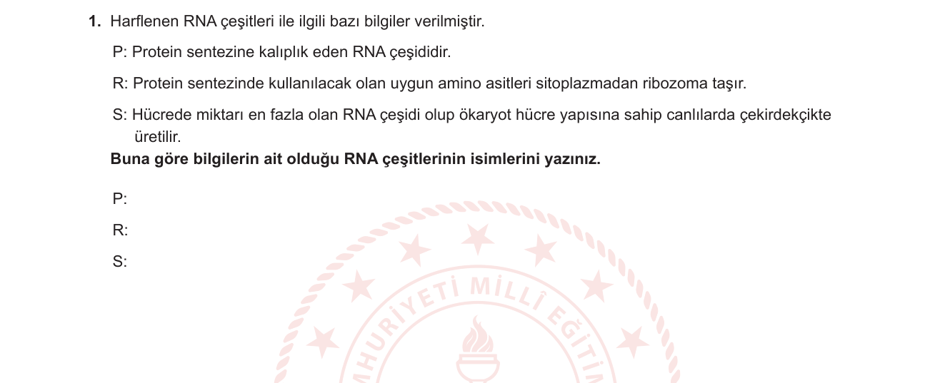 Biyoloji sorusu 1 — RNA çeşitleri — mRNA, tRNA, rRNA yapı ve görevleri