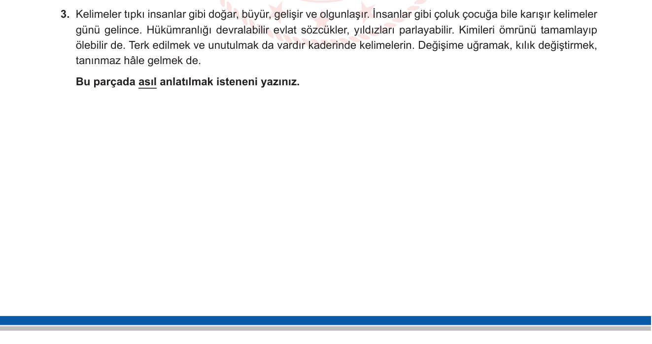 Türkçe sorusu 27 — 