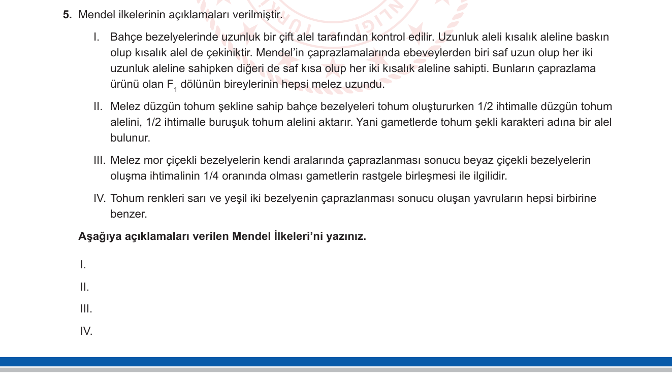 Biyoloji sorusu 13 — Kalıtım: Mendel İlkeleri (Baskınlık, Ayrılma/Segregasyon)