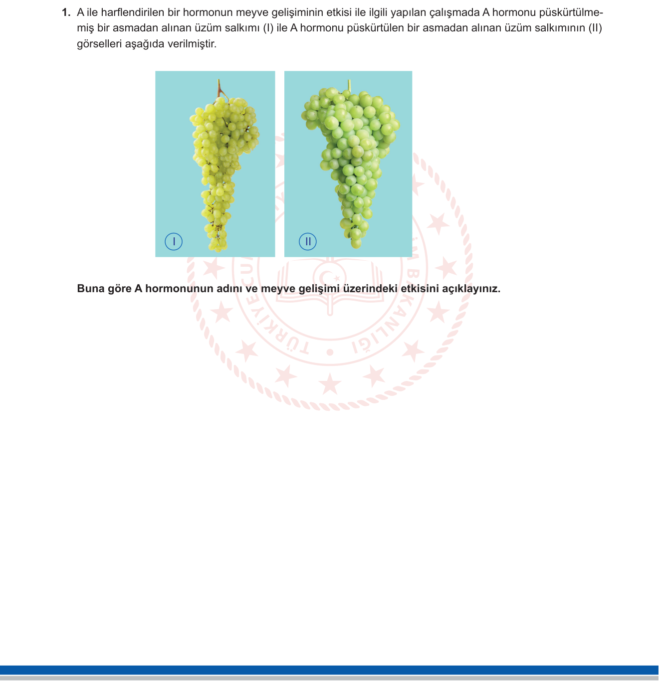Biyoloji sorusu 1 — Bitkilerde Büyüme, Gelişme ve Hareketler — Bitkisel Hormonlar (Giberelin)